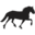 Dales Pony Society – The Great All Rounder