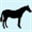Eclipse Internet - <!--#echo var="HTTP_HOST"-->