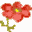Daylily Diary
