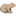 Home | Digital Bear Consulting