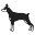 Doberman Rescue of North Texas | DRNT