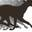Advanced Canine Rehab Center - Home