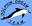 Swim With Wild Dolphins - Wild Dolphins Encounters