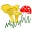Home - Dorset Fungus Group