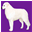 Double Ring Kuvasz -Home of over 8 Generations of Champion Kuvasz