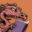 The Dragon Page "Cover to Cover" | Conversations with Authors of Science Fiction and Fantasy