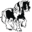 International Drum Horse Association – Ride to the Beat of a Different Drum