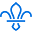 Dundee District Scouts
