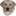 Dunrovin Farm Labrador Retrievers