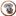 DVWC - Delaware Valley Weimaraner Club