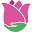 Easy To Grow - Buy Flower Bulbs & Plants Online! – Easy To Grow Bulbs