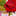 Elizabeth Whitehouse Contemporary Artist, Designer - Index