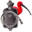 Buy Enema Bags | Home Enema Instructions, Supplies, Equipment, Kits