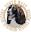 English Springer Spaniel Rescue - North West England -