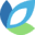 Create, Build, Grow with An Integrated Digital Agency - Evoluted
