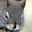 WildAgain Wildlife Rehabilitation | eWildAgain