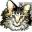 Feline Diabetes —Diabetes in Cats — Treatment and Diabetic Cat Info — FDMB