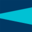 Foundation Fighting Blindness — Foundation Fighting Blindness