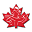 Fitness Kickboxing Canada Inc.