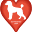 Florida Poodle Rescue | Home - Recycled Love
