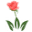 Vancouver Florist - Kitsilano Flower Shop, UBC, VGH, SFU