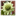 FLOWER ARRANGING WITH CHRISSIE HARTEN