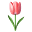 Flowercarpet | FlowerCarpet