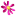 Flowers of India