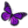 National Fibromyalgia Association, FM and chronic pain