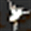 Welcome to For Ballet Lovers Only