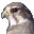 Free-To-Try.com - Free downloads for windows
