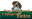 French Brittany | Plum Creek Kennels | United States