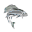 Canadian Fishing Trips on the East Arm of Great Slave Lake