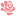 Gainesville Rose Society