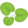 Garden Pond Forums