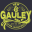 White Water Rafting Trips | New & Gauley River Adventures