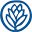 Dr. Ginger Nash | Naturopathic Medicine | New Haven, CT, USA
