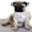 Green Mountain Pug Rescue