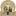 English Golden Retriever Breeder | Basset Hound Breeder