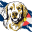 www.goldenretrieverfreedom.com