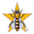 Top Bar Hives | Kits, Books, Classes, Bees | Gold Star Honeybees