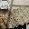 Grata, Inc. and Paraclete Low Carb, Low carb, low carb bread, low carb eating, low carb food, low carb food store