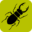 Take part in the Great Stag Hunt - Stag Beetles