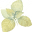 Green River Doula Network | Doula Services in Western Mass | Western Massachusetts, MA, USA