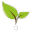 Greentrade - Organic products and raw materials marketplace