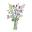 Greenwich Garden Club
