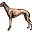 GreyHeart Greyhound Adoption of Michigan - Home