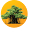 Top/Best University in Vadodara - GSFC University