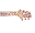 Guitar Prasanna – Prasanna