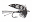 An Overview of Harrogate Flyfisher's Club